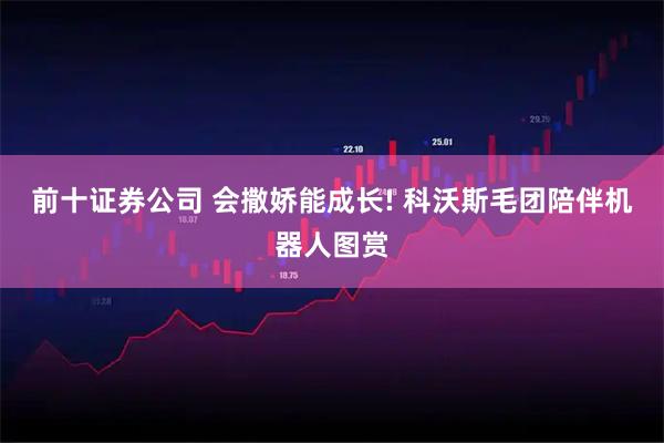 前十证券公司 会撒娇能成长! 科沃斯毛团陪伴机器人图赏