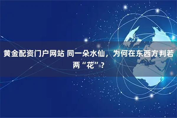 黄金配资门户网站 同一朵水仙，为何在东西方判若两“花”？